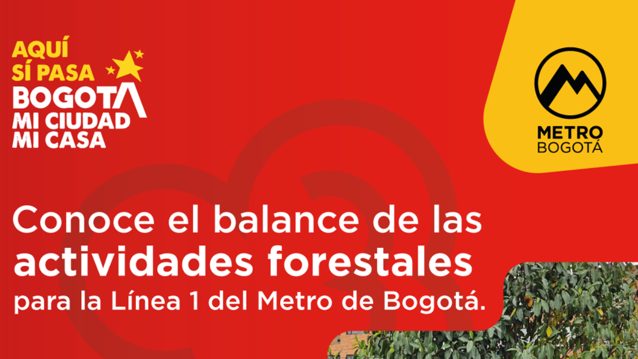 Actividades silviculturales