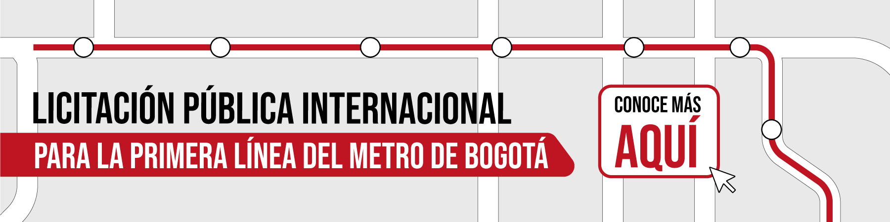 Infografía Licitación Pública Internacional