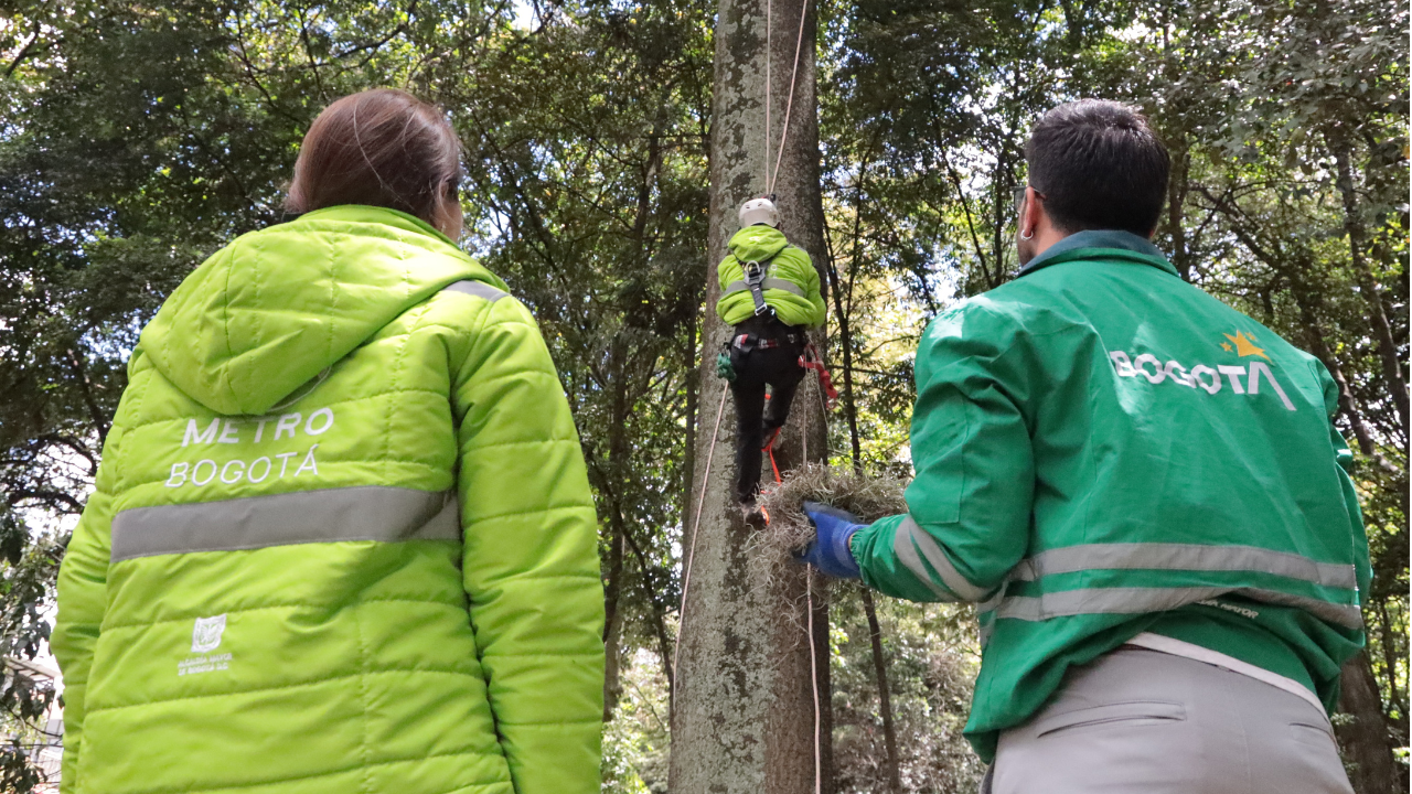 Protección de plantas epítafias